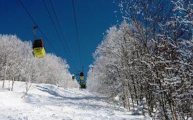 Asahikawa Grand Hotel 4*